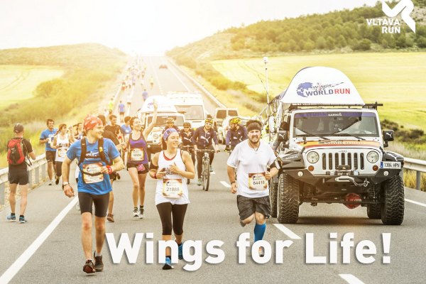 Wings for Life – Když celý svět běží pro jednu dobrou věc